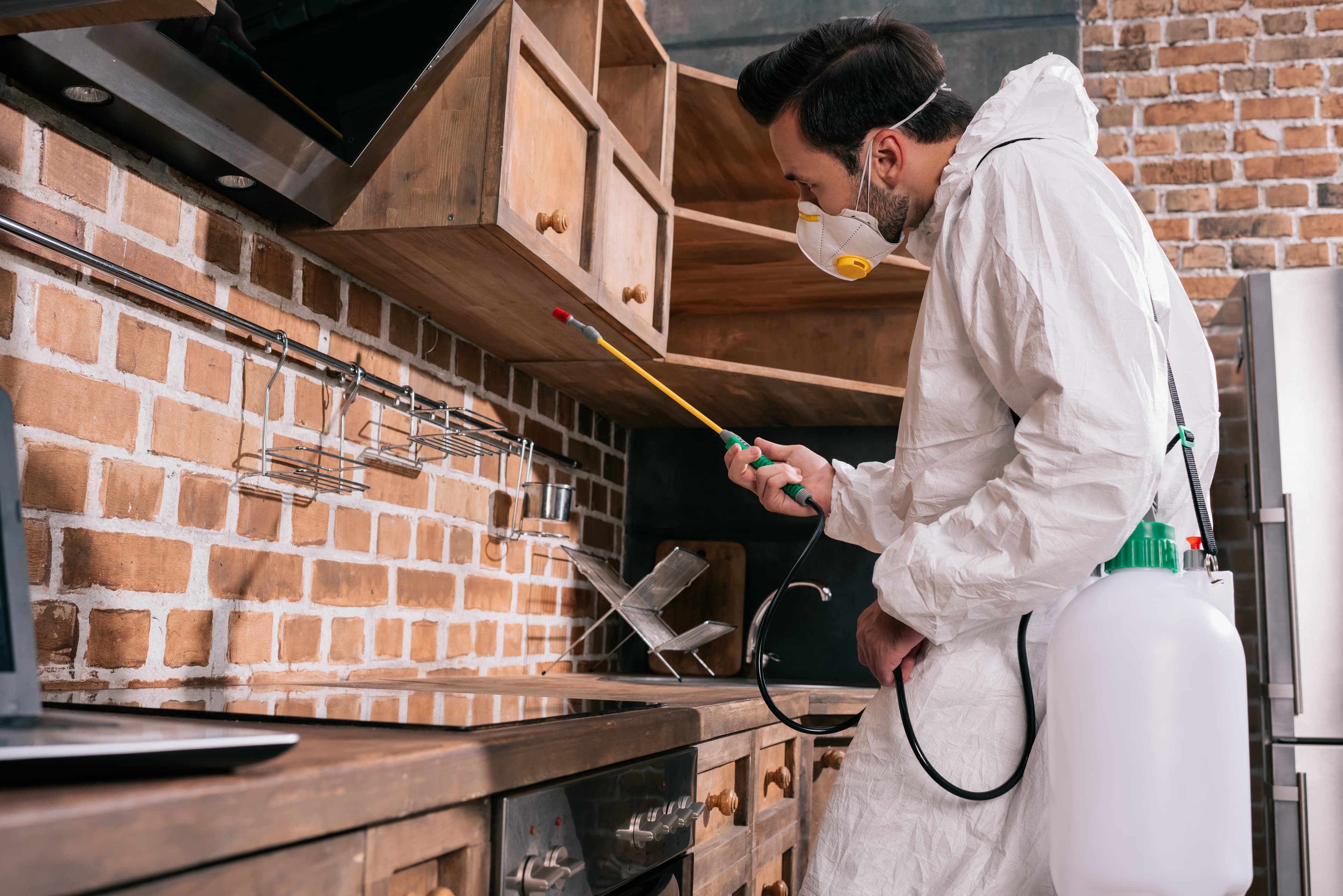 Técnico de U.S. Fumigation inspeccionando el perímetro de una cocina industrial